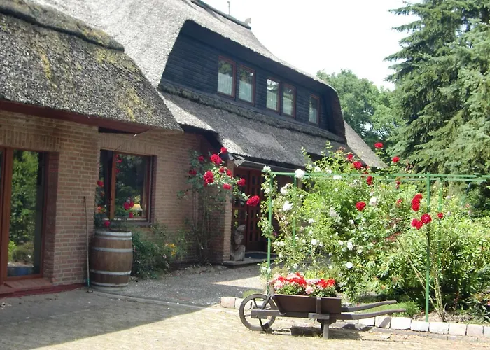 Amaya Hotel&suites *